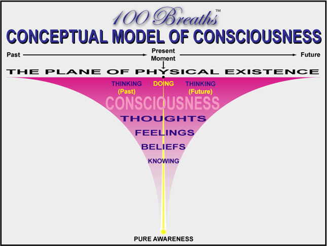 Conceptual Model